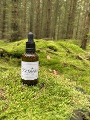 Dorůstající měsíc