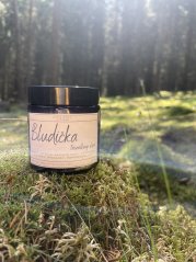 Bludička