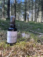 Chaloupka na kuřích nožkách