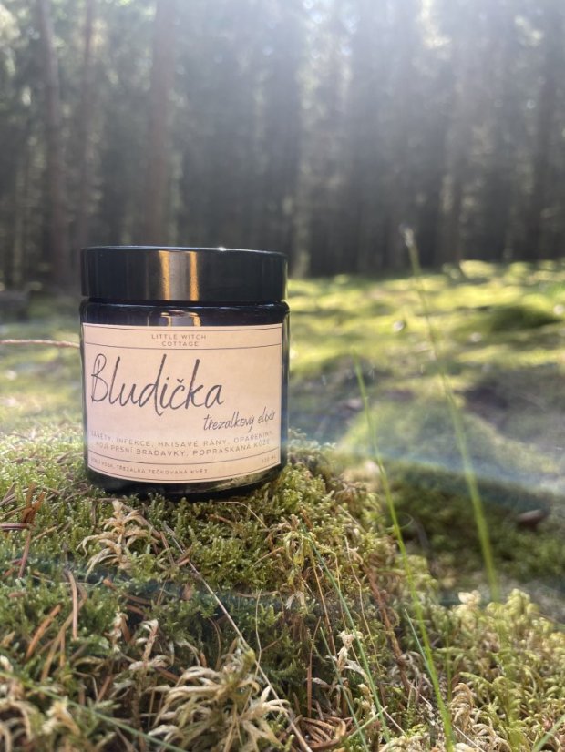 Bludička