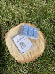 Klášterní zahrada